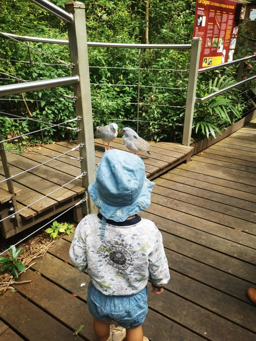 We du 14-15&nbsp;septembre