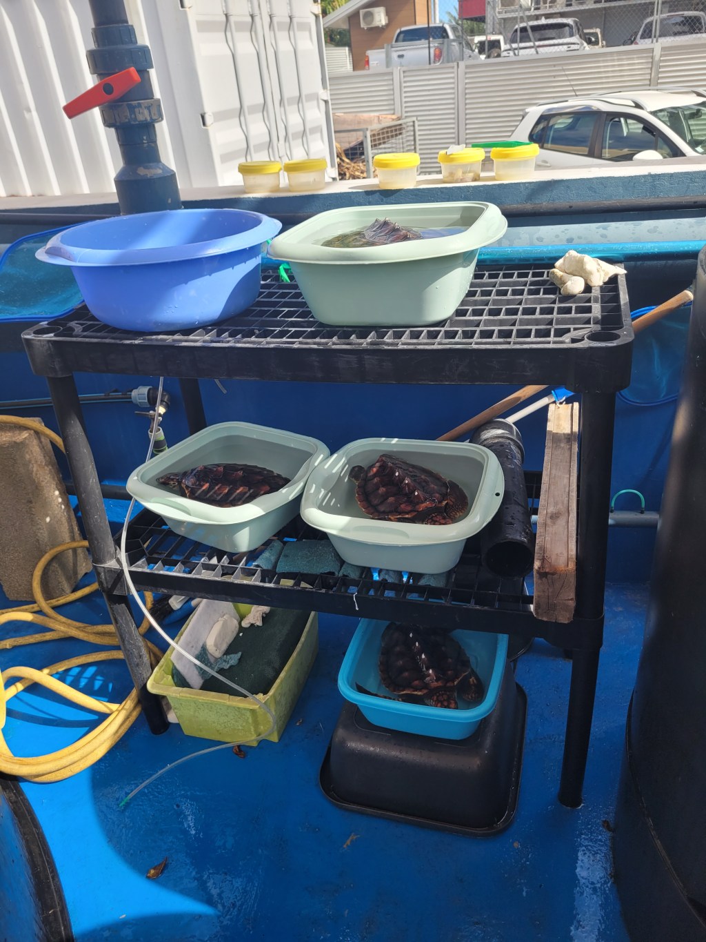 L&rsquo;aquarium des lagons