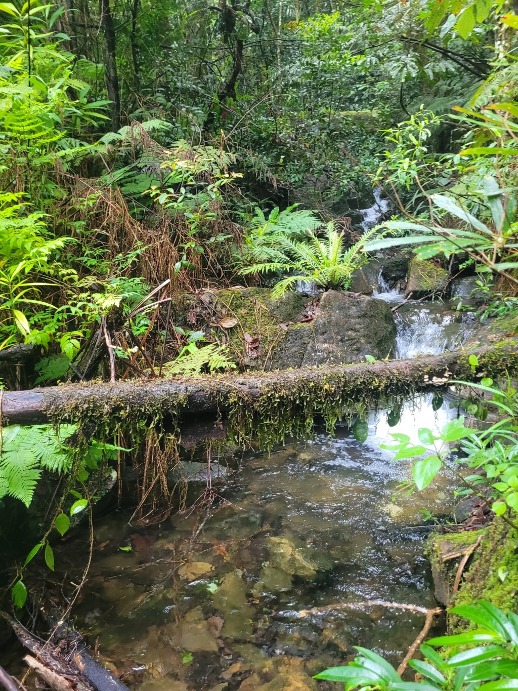 Rando cascade du Mont&nbsp;Koghi